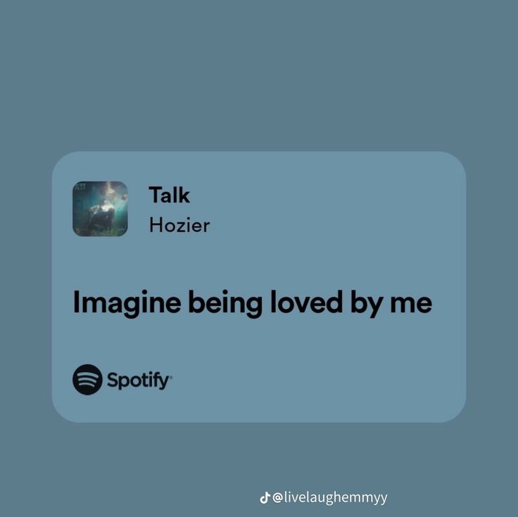 a text message that reads, imagine being loved by me spotly talk hozier