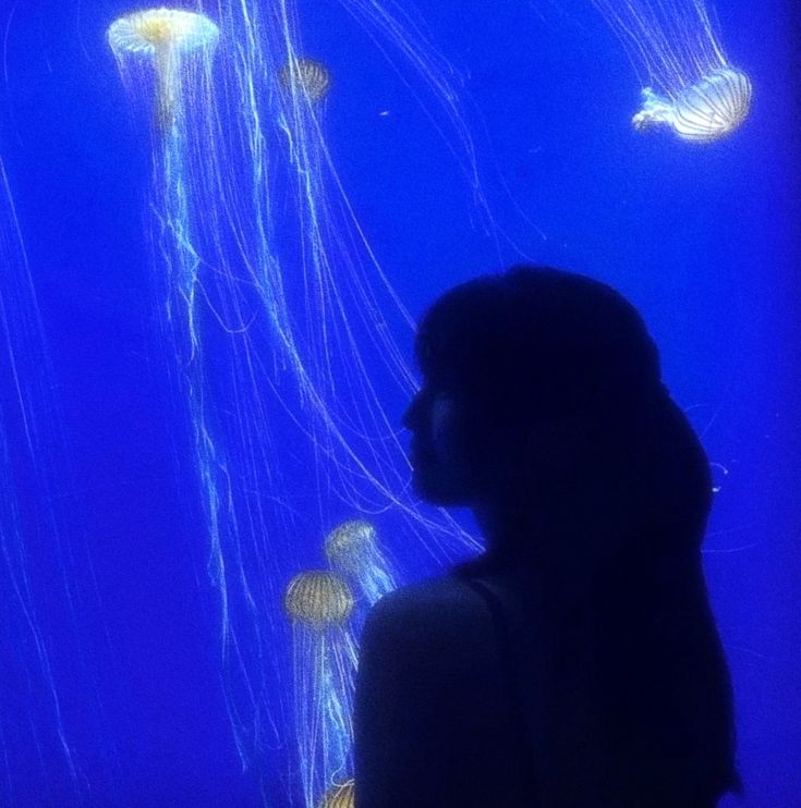 a woman looking at jellyfish in an aquarium with blue water and dark lighting behind her