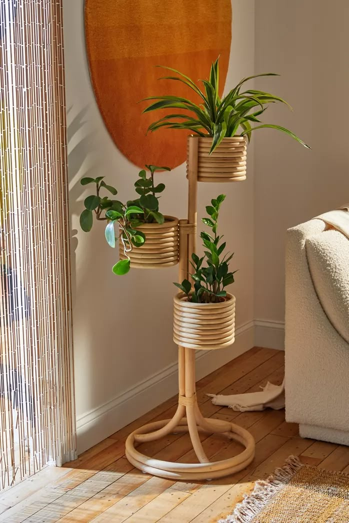 a living room with a couch, chair and potted plants on the stand in it