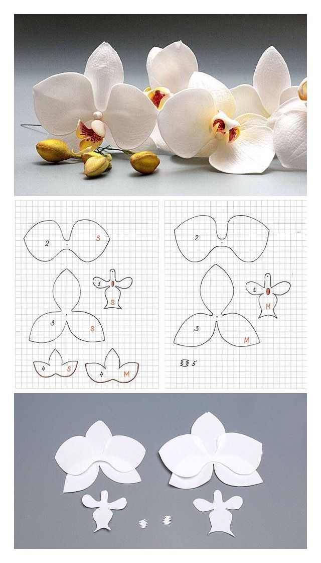 paper flowers and cut outs are shown in three different stages to make them look like they have