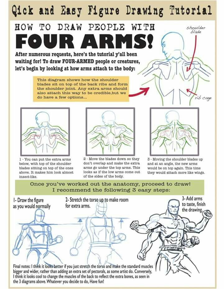 how to draw the human figure with four arms