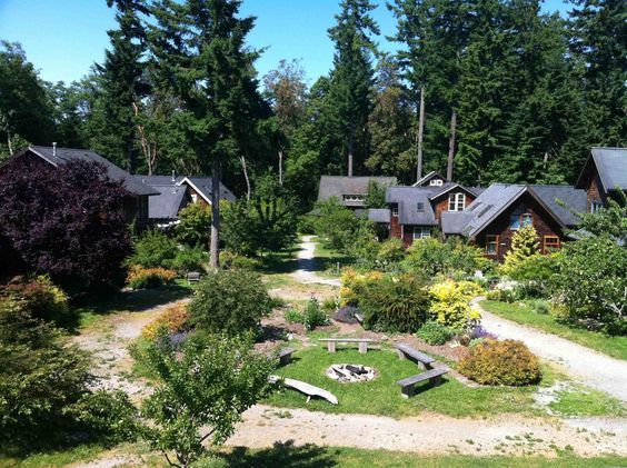 an aerial view of several cabins in the woods, with trees and gravel paths leading up to them