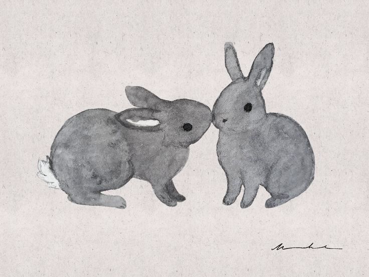 two gray rabbits sitting next to each other