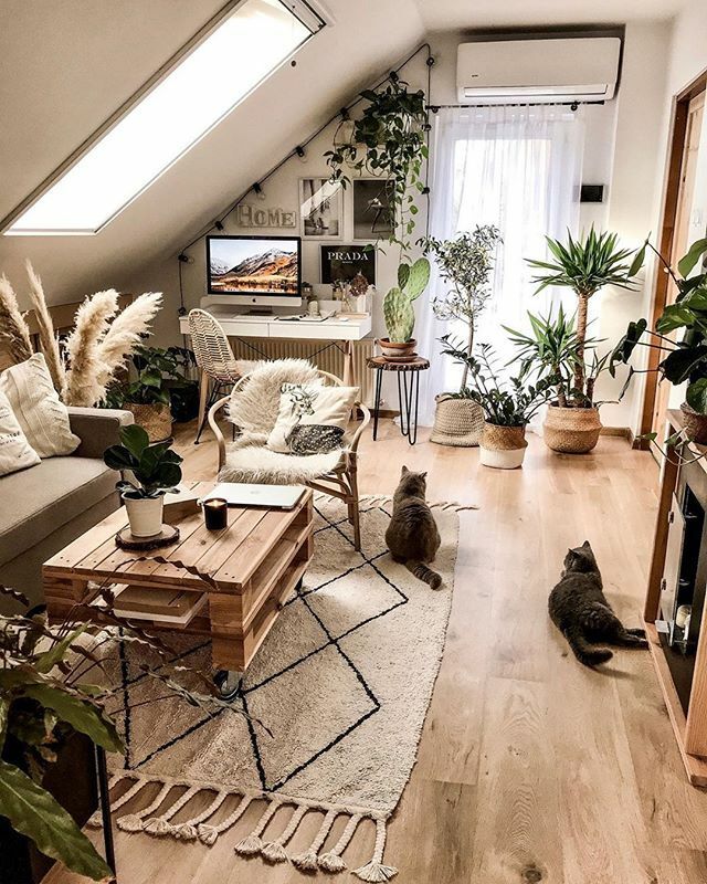 a living room filled with lots of furniture next to a cat sitting on the floor