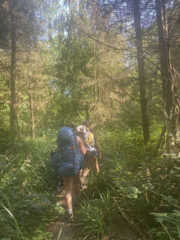 two people walking through the woods with backpacks on their back and one carrying a dog