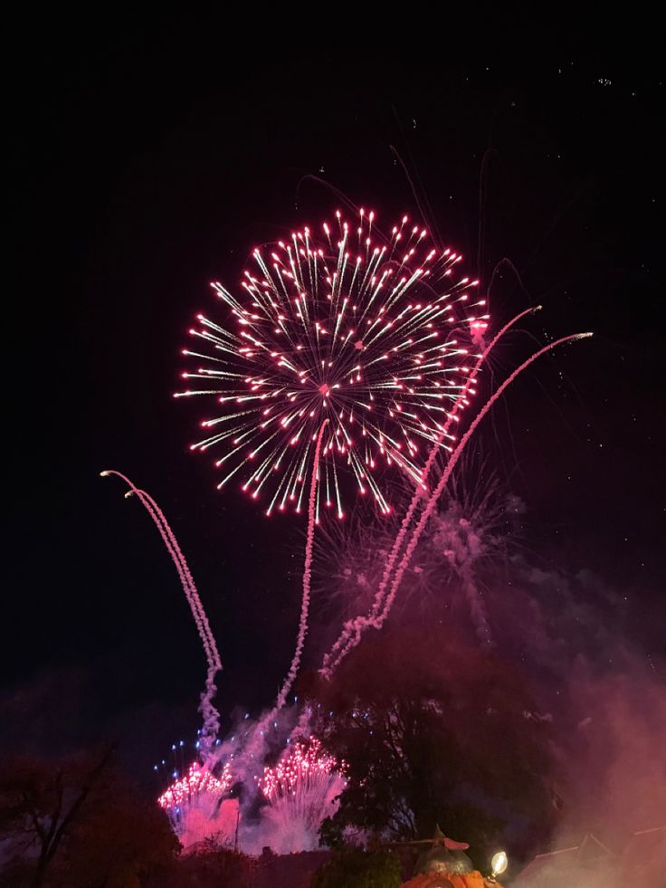 fireworks are lit up in the night sky