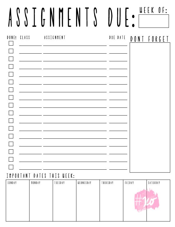 the printable worksheet for students to do their assignment