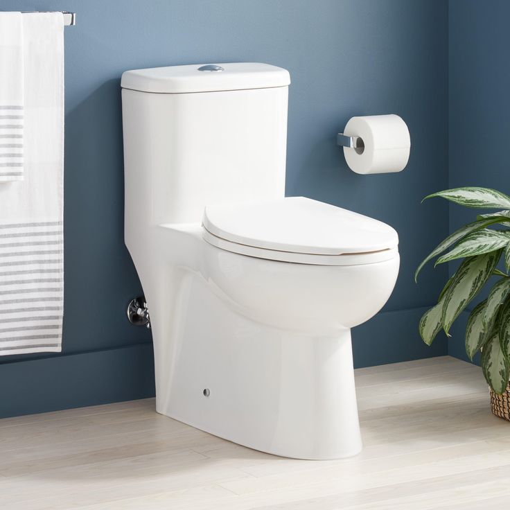 a white toilet sitting in a bathroom next to a plant