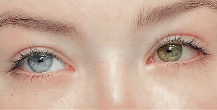 Heterochromia Eyes, Beautiful Eyes Color, Aesthetic Eyes, Pretty Eyes, الرسو�مات اللطيفة, Cool Eyes, Series Movies, Beautiful Eyes, Face Claims