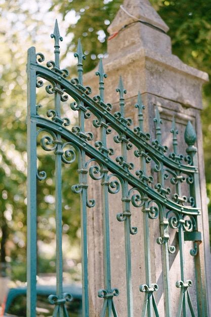 an iron gate with decorative designs on the top and bottom, in front of a cemetery