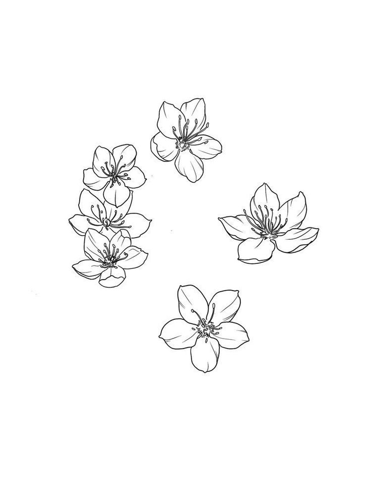 four flowers are arranged in the shape of a circle on a white background with black ink