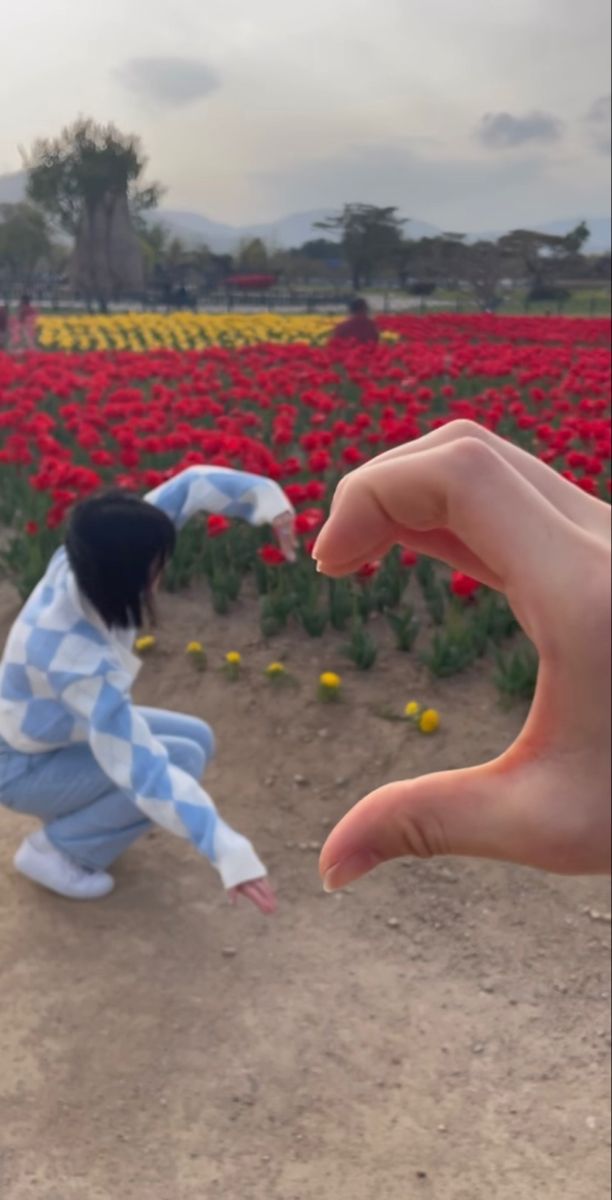 two hands reaching out towards each other in front of a field with red and yellow flowers