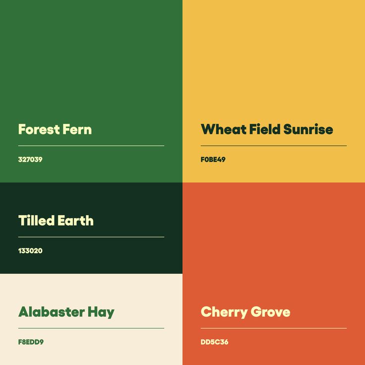 four different font styles with the same color scheme