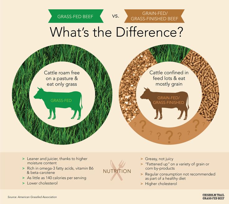 what's the difference between grass and meat? infographical poster with text