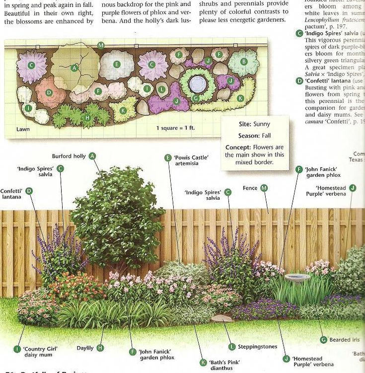 an image of a garden with flowers and plants in the center, labeled on each side