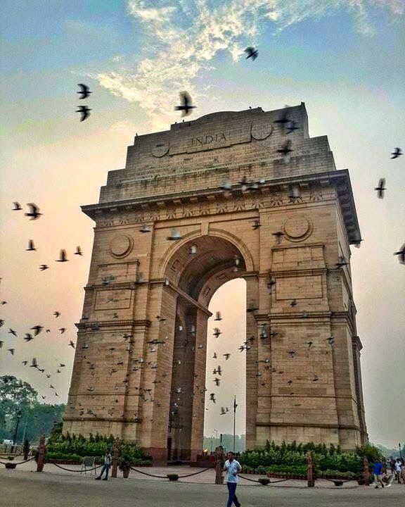 birds are flying around an arch in india