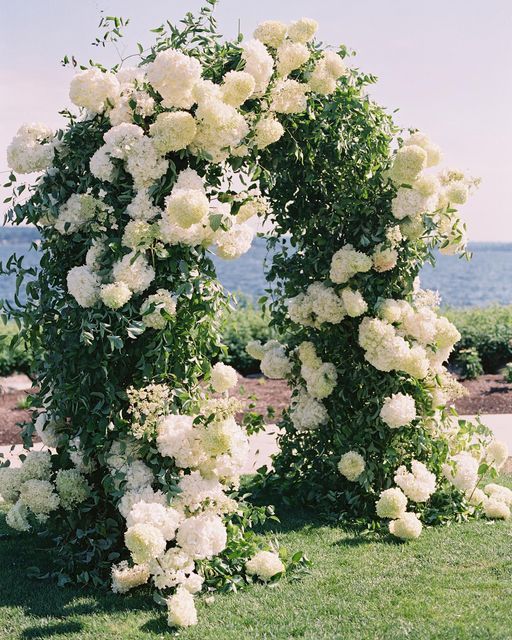 an arch made out of white flowers in the grass