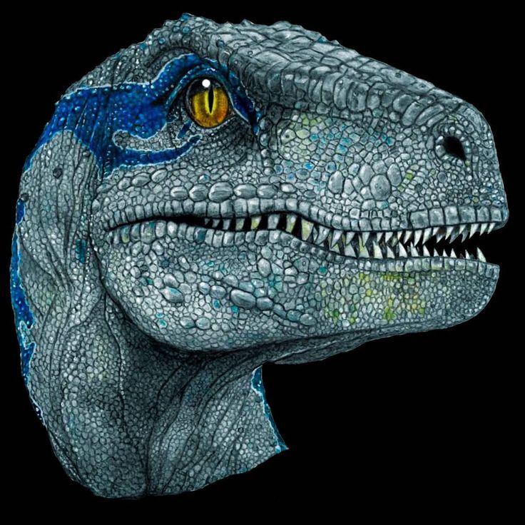 a drawing of a dinosaur's head with yellow eyes