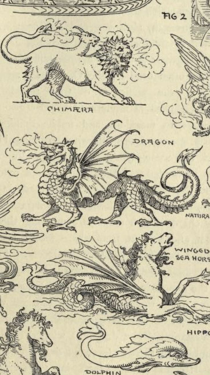 an old book with dragon and other animals on it's cover, in black ink