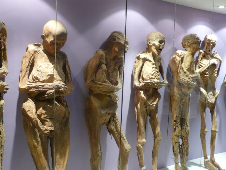 there are many different types of mannequins in this museum display with purple walls