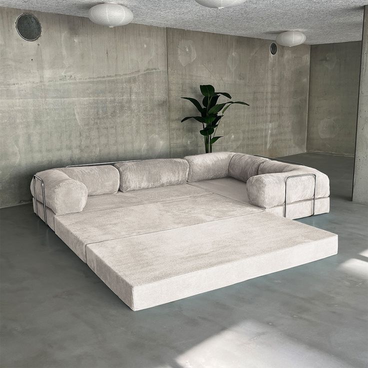 a white couch sitting in the middle of a room next to a potted plant