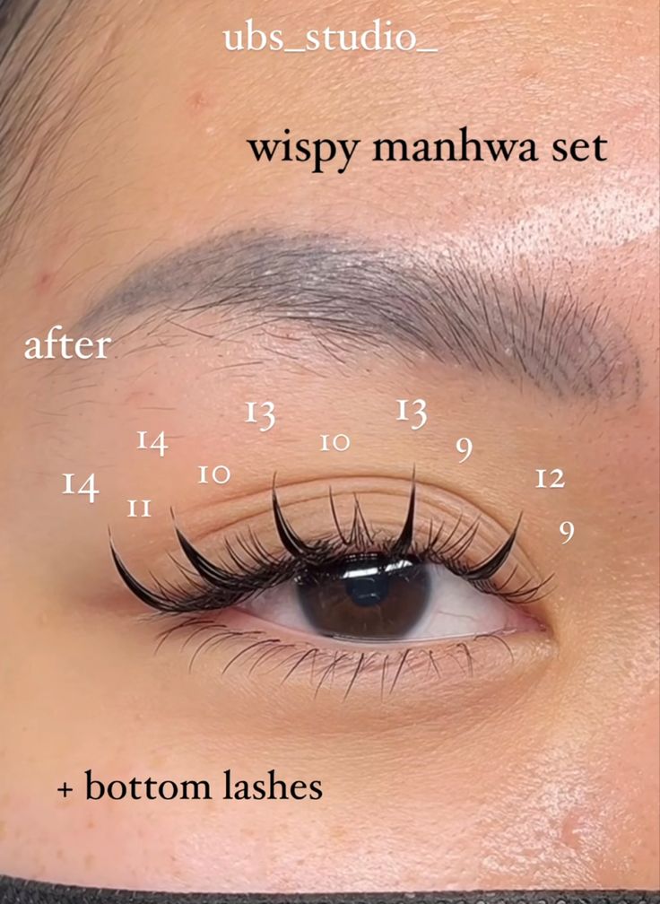 Anime Eyelash Tutorial, Rabbit Style Eyelashes, Manga Lash Extension Map, Manhua Lashes Map, Manhwa Eyelashes, Manhwa Lash Extensions, Anime Lash Map, Manga Lash Map, Kawaii Lashes