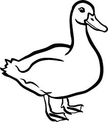 a black and white drawing of a duck