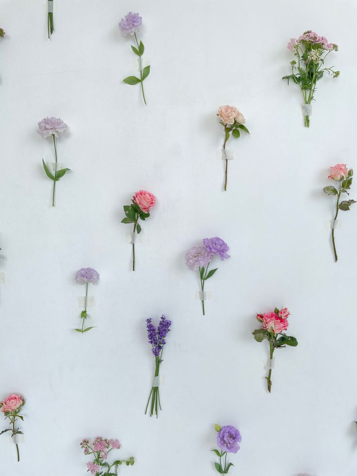 many different flowers are arranged on a white surface