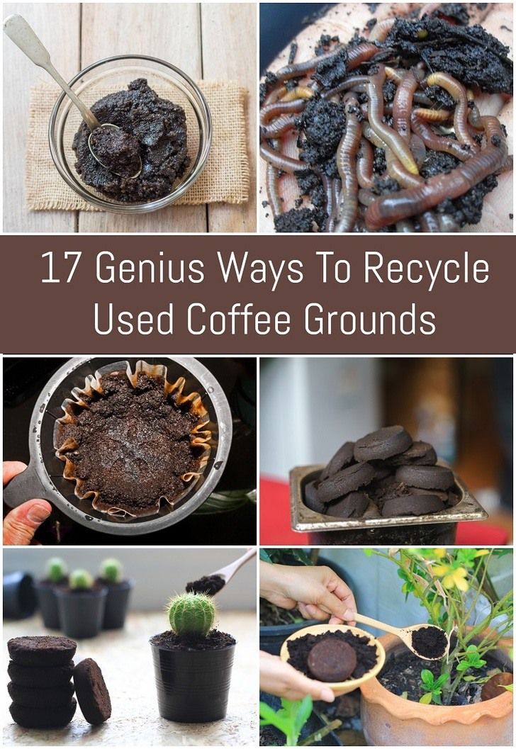 several photos with plants and chocolates in them, including coffee grounds, groundnuts,