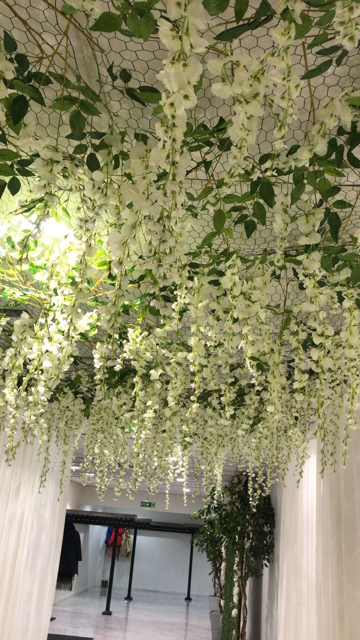 the ceiling is covered with white flowers and greenery