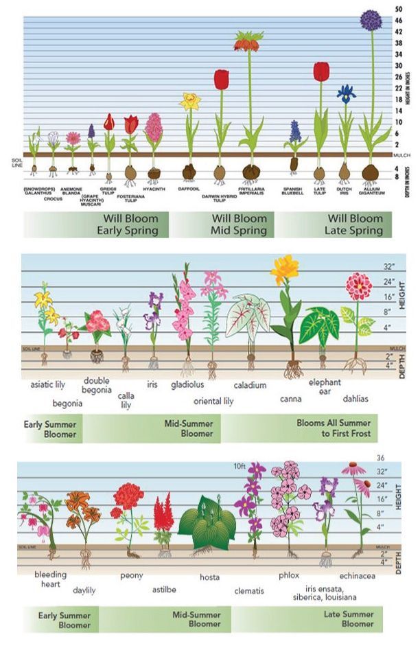 the different types of flowers and plants that are in each planter's garden