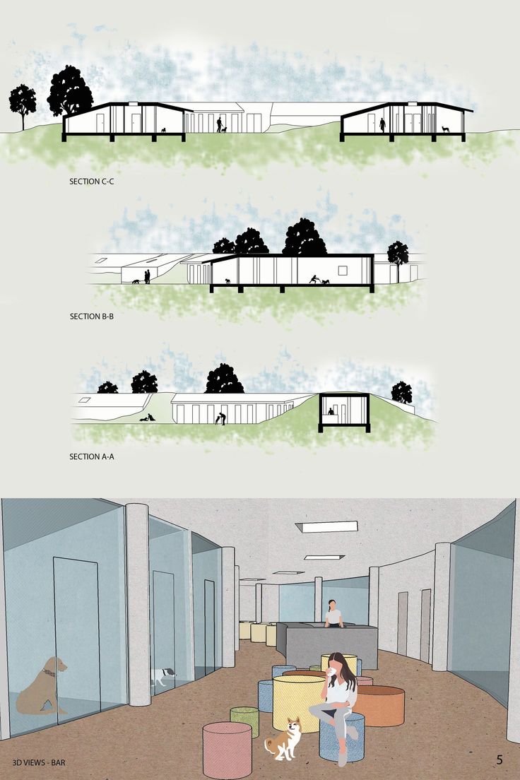 Designing an animal-welfare shelter Dog Shelter Design, Architecture For Animals, Animal Shelter Architecture, Pet Architecture, Dog Architecture, Animal Shelter Design, Dog Shelter, Dog Spaces, Disabled Dog