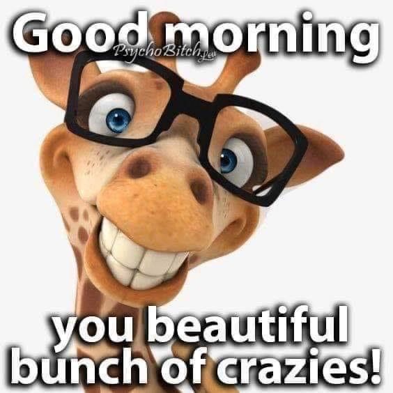 a giraffe wearing glasses with the caption good morning you beautiful bunch of crazies