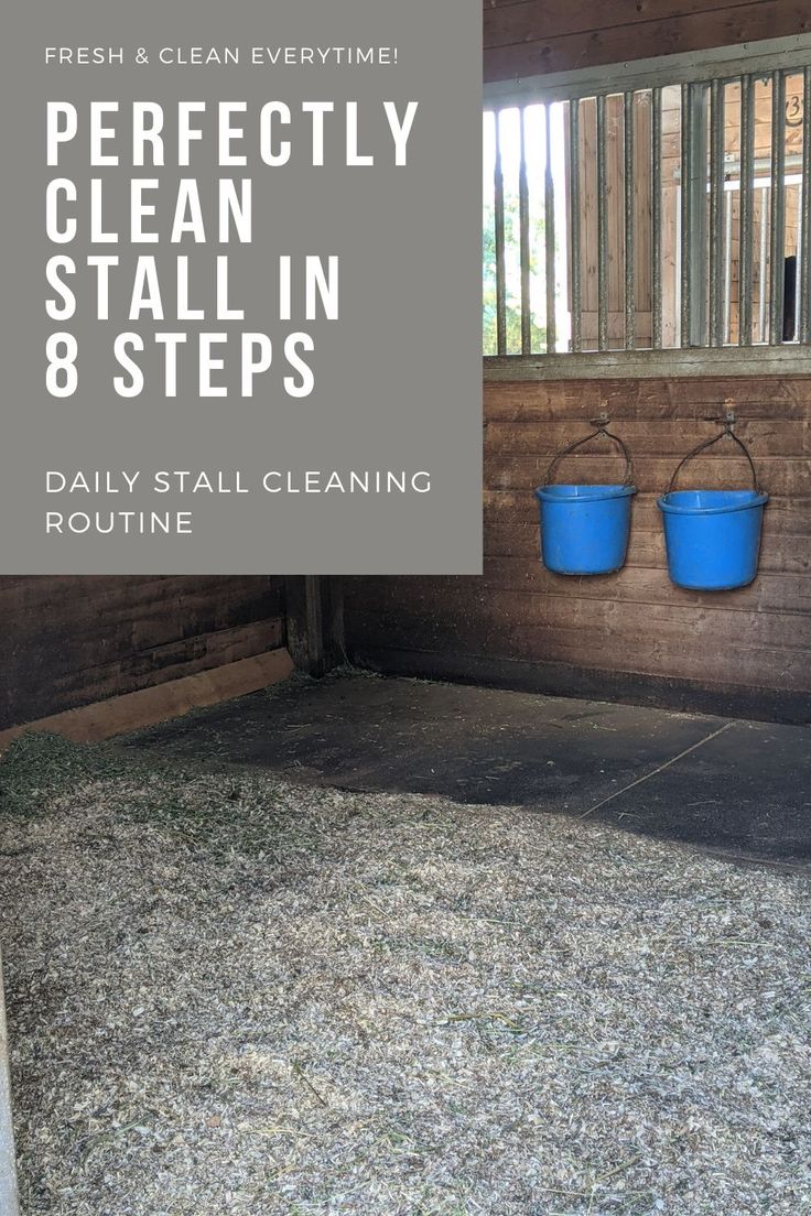 the inside of a barn with blue buckets on it and text overlay that reads perfectly clean stall in 8 steps daily stall cleaning routine