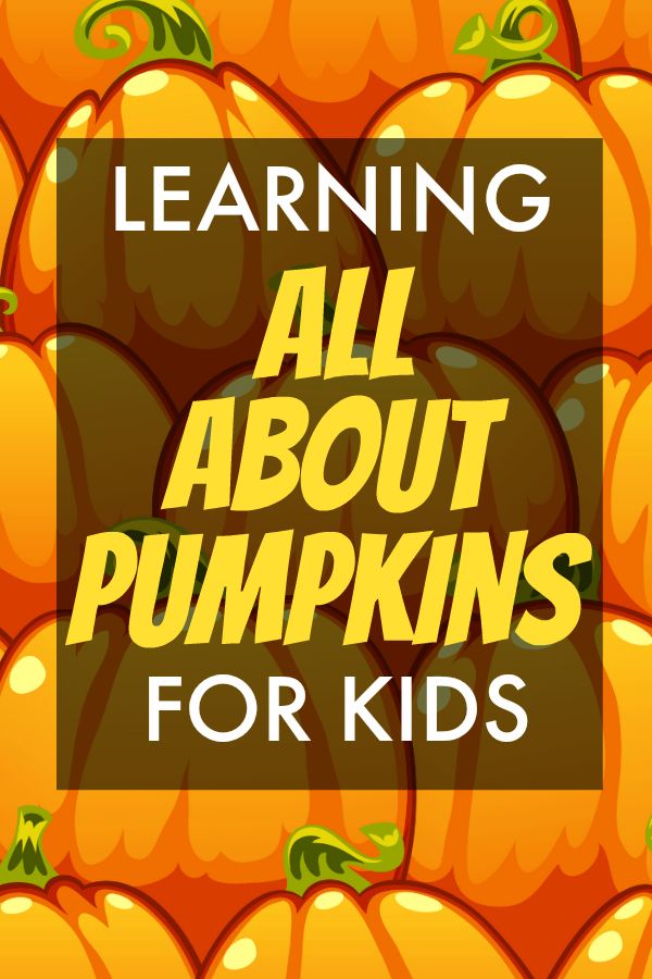 pumpkins with the words learning all about pumpkins for kids