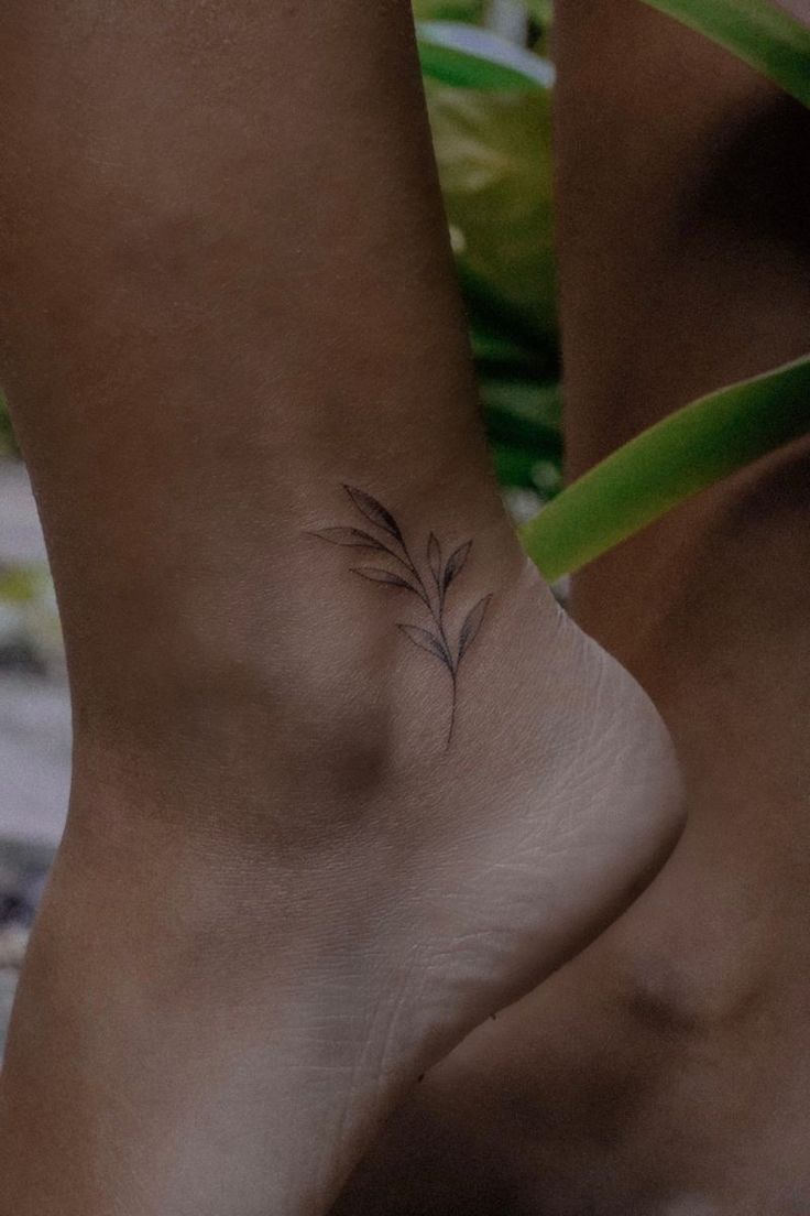 Olive branch tattoo Red Olive Branch Tattoo, Ankle Olive Branch Tattoo, Olive Flower Drawing, Beautiful Ankle Tattoos, Small Tattoo Ankle Woman, Small Vines Tattoo, Olive Branch Small Tattoo, Elegant Ankle Tattoos, Olive Branch Tattoo Ideas