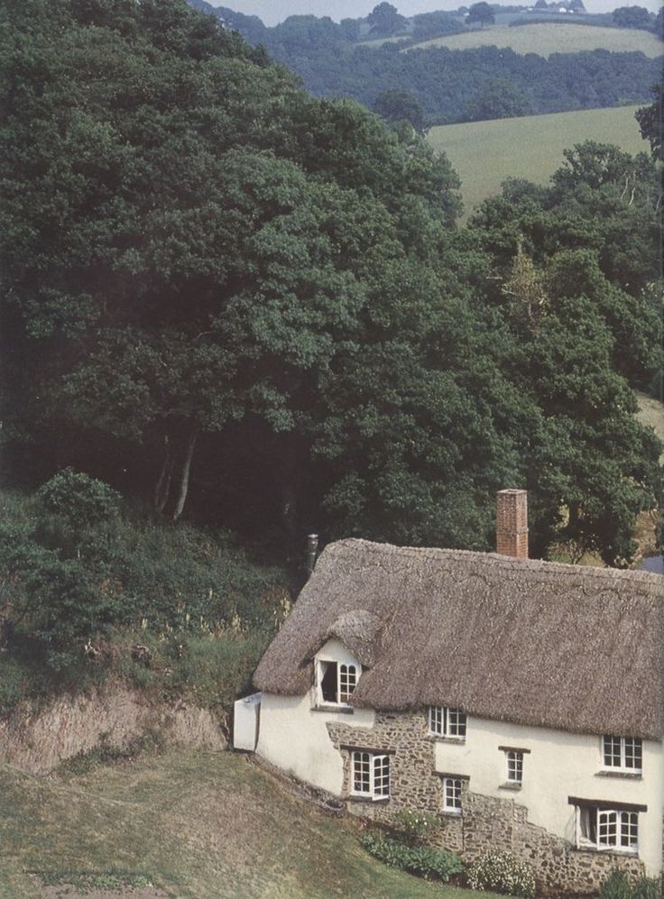 an old thatched roof house in the countryside