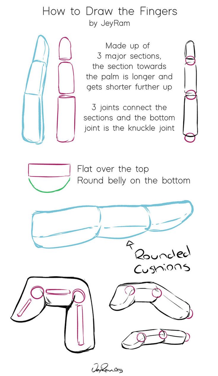 how to draw the fingers for beginners with step by step instructions on how to draw them