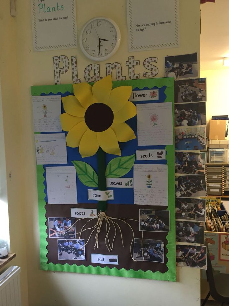 a bulletin board with a sunflower on it