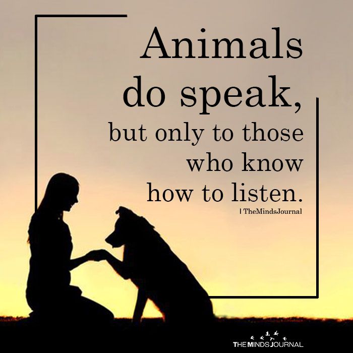 a woman kneeling down next to a dog with the words animals do speak, but only to those who know how to listen