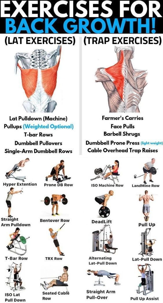 the exercises for back growth are shown in this poster