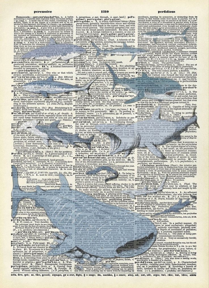 an old book page with sharks on it