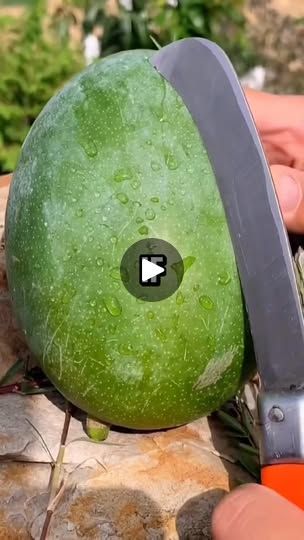 a person holding a knife and cutting a large green fruit with it's blade