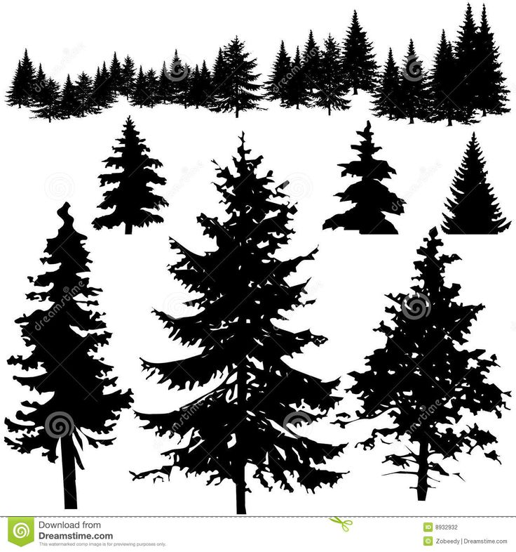 black and white silhouettes of pine trees