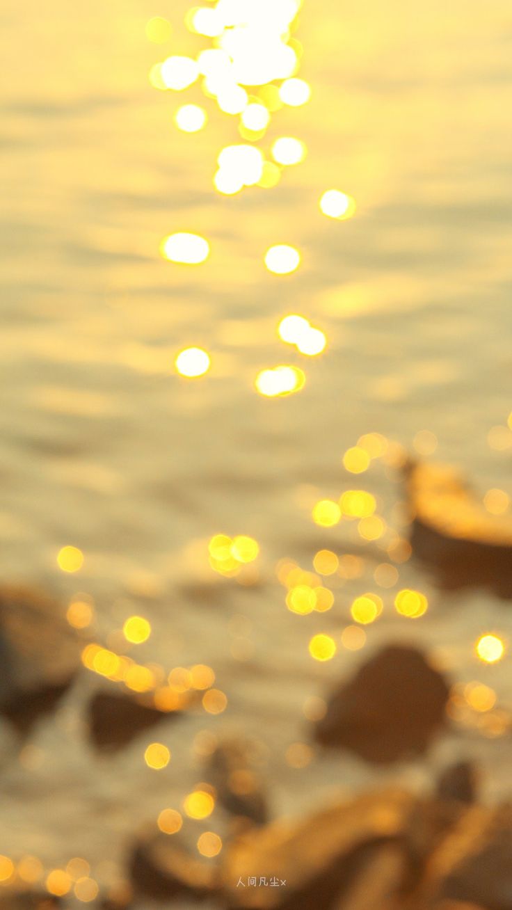 the sun shines brightly over some rocks on the water's edge as it reflects in the water