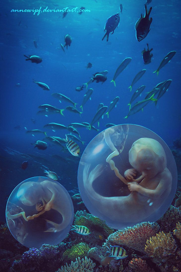 an underwater scene with jelly fish and two people in large plastic rings swimming through the water