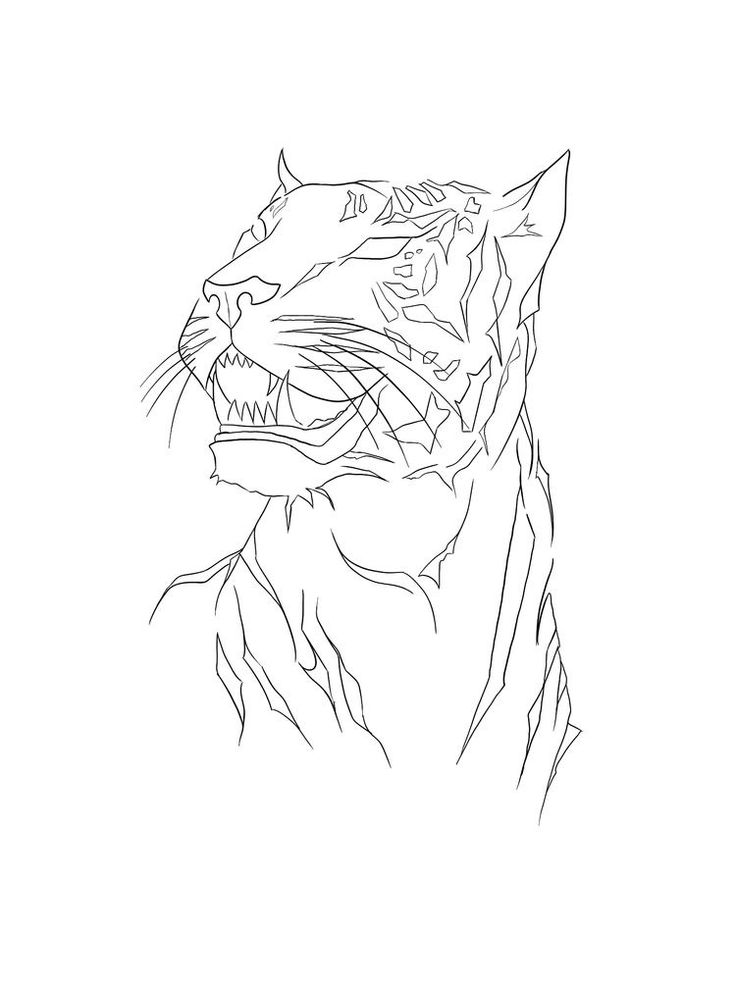 a black and white drawing of a tiger's head