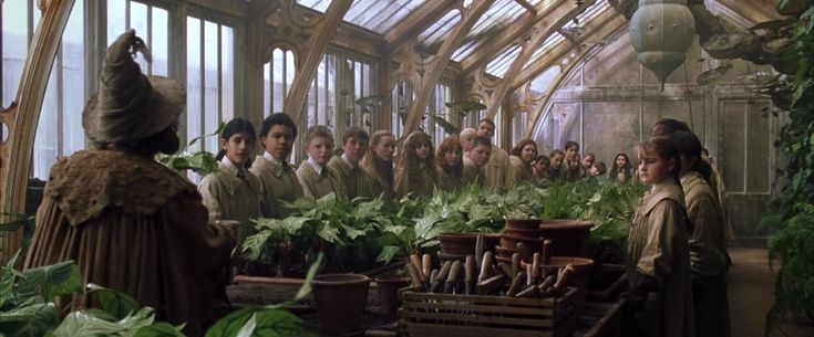 a group of people standing around plants in a greenhouse