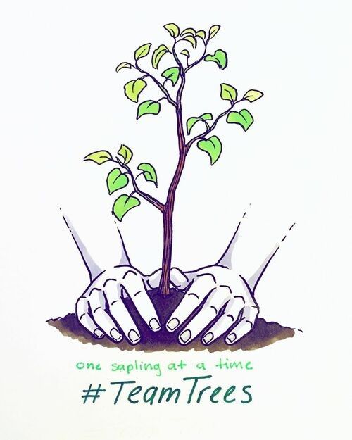 a drawing of two hands holding a small tree with the words team trees on it