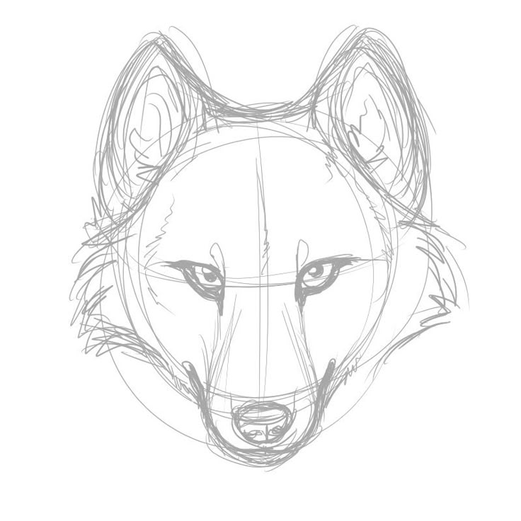 a drawing of a wolf's head